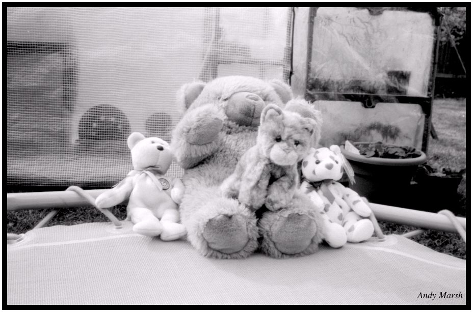 teddies