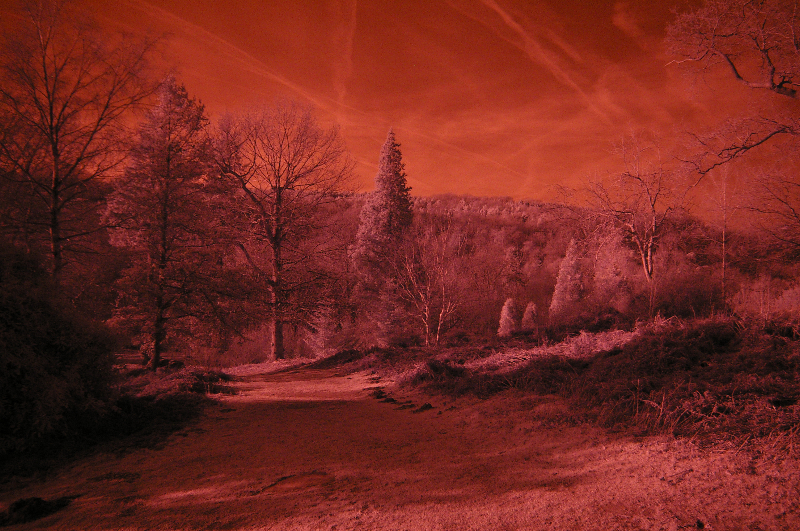 colour IR